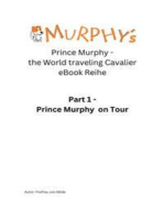 Prinz Murphy - the World traveling Cavalier