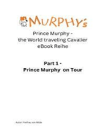 Prinz Murphy - the World traveling Cavalier: Prinz Murphy on Tour