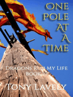 One Pole At A Time: Dragons Run My Life, #10