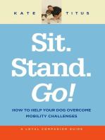 Sit. Stand. Go!