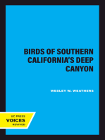 Birds of Southern California's Deep Canyon