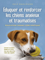 Éduquer et renforcer les chiens anxieux et traumatisés