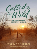 Called By The Wild