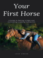 Your First Horse