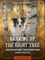 Barking Up The Right Tree 