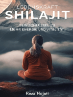 Lebenskraft Shilajit: Entdecke das Geheimnis zu mehr Energie und Vitalität