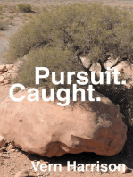 Pursuit. Caught.: Pursuit, #3
