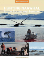 Hunting Narwhal in Spring and Summer