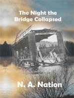 The Night the Bridge Collapsed
