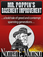 Mr. Poppins Basement Improvement