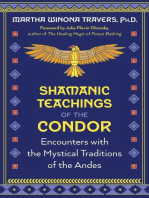 Shamanic Teachings of the Condor