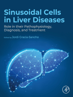 Sinusoidal Cells in Liver Diseases: Role in their Pathophysiology, Diagnosis, and Treatment