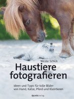 Haustiere fotografieren: Ideen und Tipps für tolle Bilder von Hund, Katze, Pferd und Kleintieren