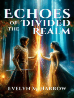 Echoes of a Divided Realm
