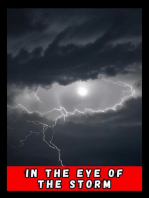 In the eye of the Storm