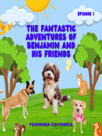 The Fantastic Adventures Of Benjamin And His Friends