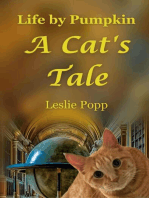 Life by Pumpkin: A Cat's Tale