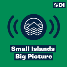 Small Islands Big Picture