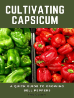 Cultivating Capsicum: A Quick Guide to Growing Bell Peppers