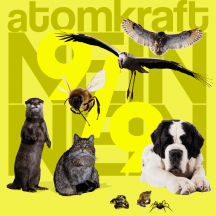 Atomkraft 9/9