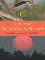 Bayshore Summer: Finding Eden in a Most Unlikely Place