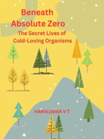 Beneath Absolute Zero