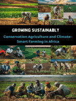 Growing Sustainably : Conservation Agriculture and Climate-Smart Farming in Africa
