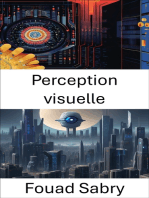 Perception visuelle: Aperçu du traitement visuel informatique