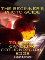 The Beginner's Guide to Phone Candling Coturnix Quail Eggs