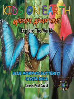 Kids On Earth - Wildlife Adventures - Explore The World Blue Morpho Butterfly - Costa Rica