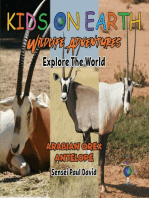 Kids On Earth - Arabian Oryx Antelope - Israel