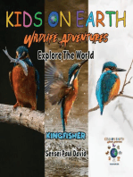 KIDS ON EARTH - Kingfisher Bird - Madagascar