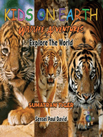 KIDS ON EARTH - Sumatran Tiger - Indonesia