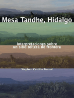Mesa Tandhe, Hidalgo: Interpretaciones sobre un sitio tolteca de frontera
