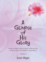 A Glimpse of His Glory: what we think, what we feel, what we see, what we hear and what we experience Volume 2