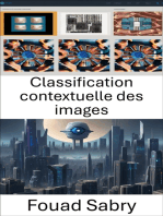 Classification contextuelle des images: Comprendre les données visuelles pour une classification efficace