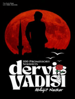 Dervis Vadisi