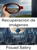 Recuperación de imágenes: Liberando el poder de los datos visuales