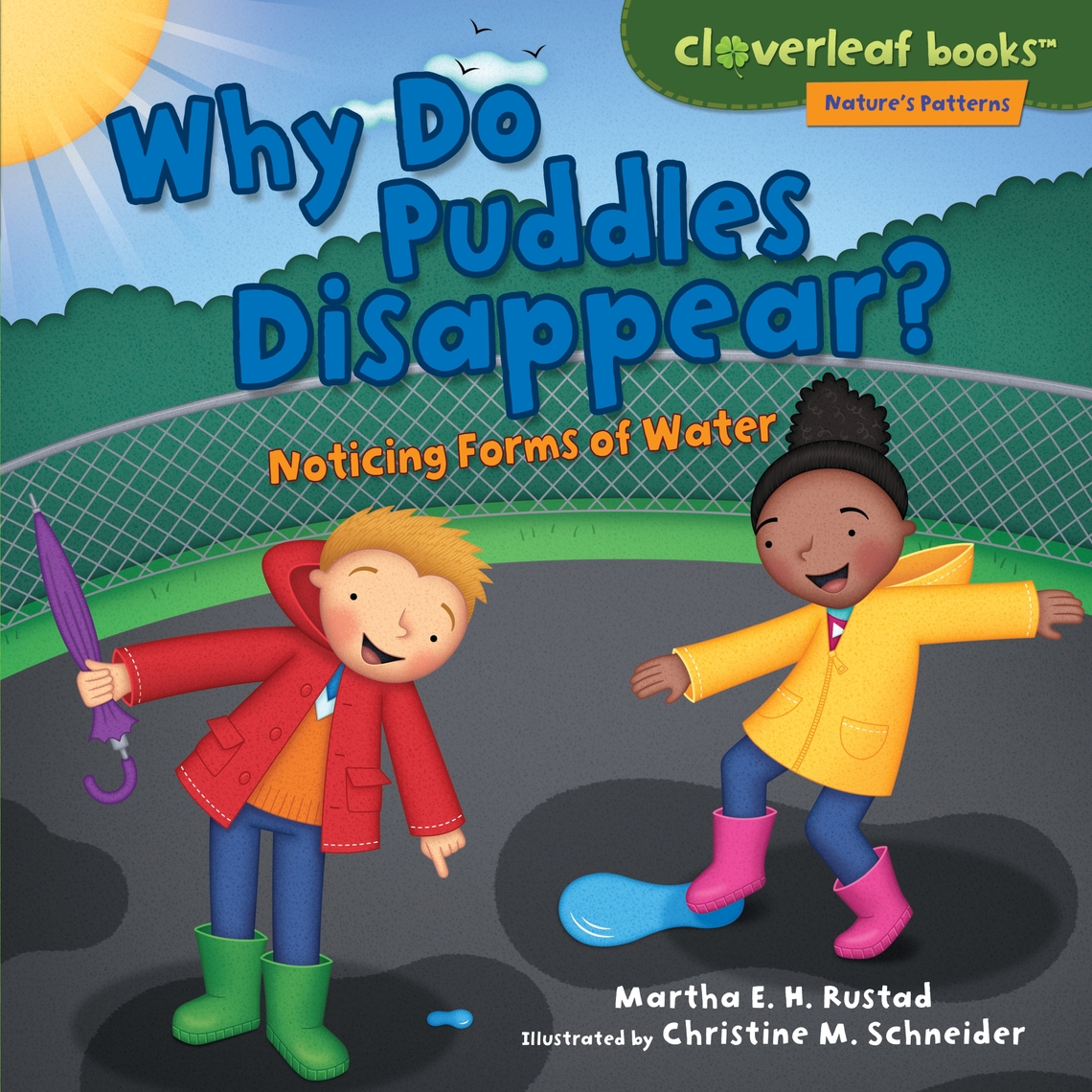 Why Do Puddles Disappear? by Martha E. H. Rustad, Christine M ...