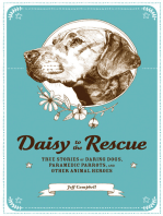 Daisy to Rescue: True Stories of Daring Dogs, Paramedic Parrots, and Other Animal Heroes