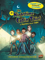 The Nighttime Cabin Thief