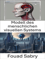 Modell des menschlichen visuellen Systems: Wahrnehmung und Verarbeitung verstehen