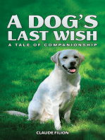 A Dog’s Last Wish: A Tale of Companionship