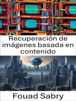 Recuperación de imágenes basada en contenido: Desbloqueo de bases de datos visuales