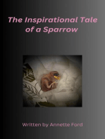 The Inspirational Tale of a Sparrow