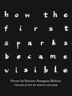 how the first sparks became visible: Poems