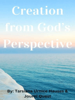 Creation from God's Perspective