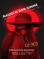 Rausch der Sinne | Leidenschaft, lust und Sex | 13 Berauschende Geschichten