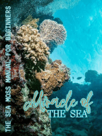 Miracle of The Sea
