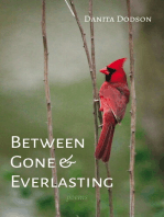 Between Gone and Everlasting